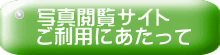 ʐ^{TCg pɂ